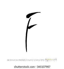 Hand drawn alphabet illustration & calligraphy - vector