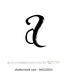 Hand drawn alphabet illustration & calligraphy - vector