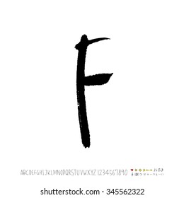 Hand drawn alphabet illustration & calligraphy - vector