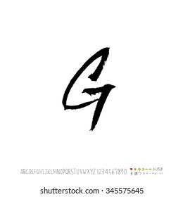 Hand drawn alphabet illustration & calligraphy - vector