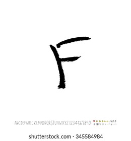 Hand drawn alphabet illustration & calligraphy - vector