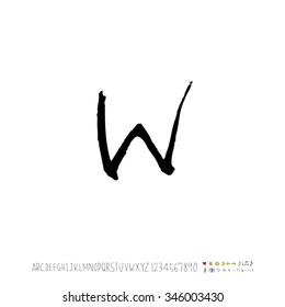 Hand drawn alphabet illustration & calligraphy - vector