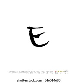 Hand drawn alphabet illustration & calligraphy - vector