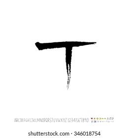 Hand drawn alphabet illustration & calligraphy - vector