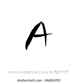 Hand drawn alphabet illustration & calligraphy - vector