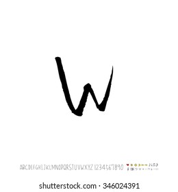 Hand drawn alphabet illustration & calligraphy - vector