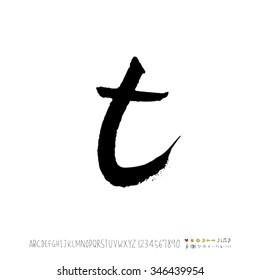 Hand drawn alphabet illustration & calligraphy - vector