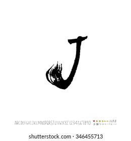 Hand drawn alphabet illustration & calligraphy - vector