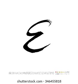 Hand drawn alphabet illustration & calligraphy - vector