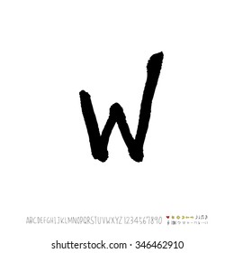 Hand drawn alphabet illustration & calligraphy - vector