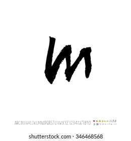 Hand drawn alphabet illustration & calligraphy - vector