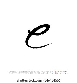 Hand drawn alphabet illustration & calligraphy - vector