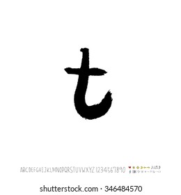 Hand drawn alphabet illustration & calligraphy - vector