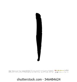 Hand drawn alphabet illustration & calligraphy - vector
