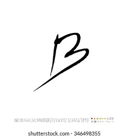 Hand drawn alphabet illustration & calligraphy - vector