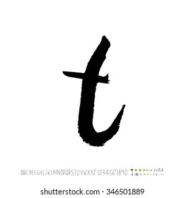 Hand drawn alphabet illustration & calligraphy - vector