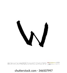 Hand drawn alphabet illustration & calligraphy - vector