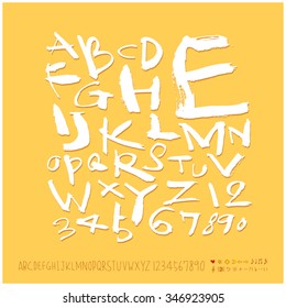 Hand drawn alphabet illustration & calligraphy - vector
