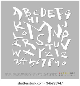 Hand drawn alphabet illustration & calligraphy - vector