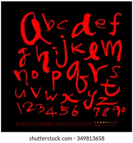 Hand drawn alphabet illustration & calligraphy - vector