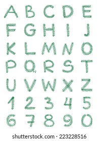 Hand - drawn alphabet made of fir branches on white background.