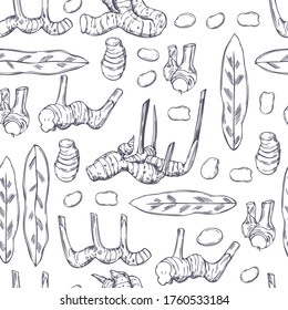 Hand drawn Alpinia galanga. Galangal, root, leaves. Vector  seamless pattern
