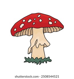 Hand drawn Amanita toadstool mushroom. Vector fly agaric isolated illustration on a white background