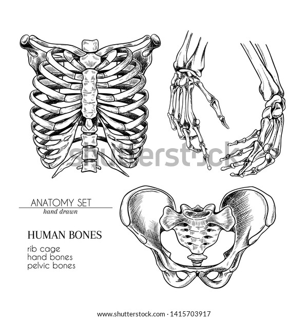 body and bones science set