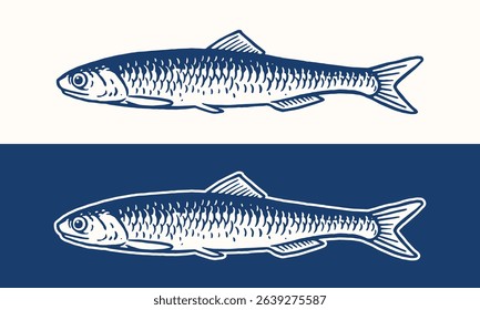 Hand Drawn Anchovy Fish Illustration