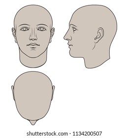 Hand drawn androgynous, gender-neutral human head in face, profile and top views. Flat vector isolated on white background. The drawings can be used independently of each other.
