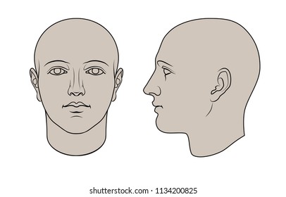 Hand drawn androgynous, gender-neutral human head in face and profile. Flat vector isolated on white background. The drawings can be used independently of each other.