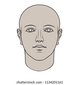 Hand drawn androgynous, gender-neutral human head in face. Flat vector isolated on white background.