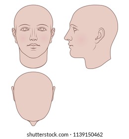 Hand drawn androgynous  gender  neutral human head in face  profile   top views  Flat vector isolated white background  The drawings can be used independently each other 