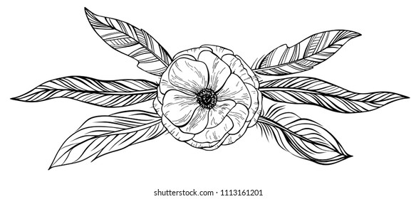 Hand drawn anemone and ethnic feathers isolated on white. Doodle design element for wedding, invitation, save the date, greeting card.