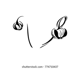 Hand drawn anemone flower calligraphy style