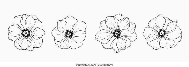 Hand drawn anemone set. Line art vector illustration