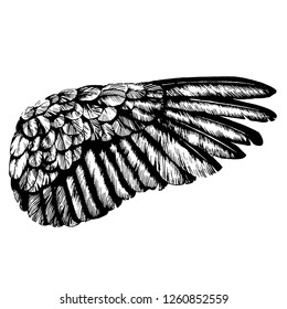 Hand drawn angel wings illustration of a pair of angel or eagle wings spread tattoo.