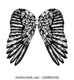Hand drawn angel wings illustration of a pair of angel or eagle wings spread tattoo.