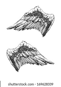 Hand drawn angel wings vector eps 8