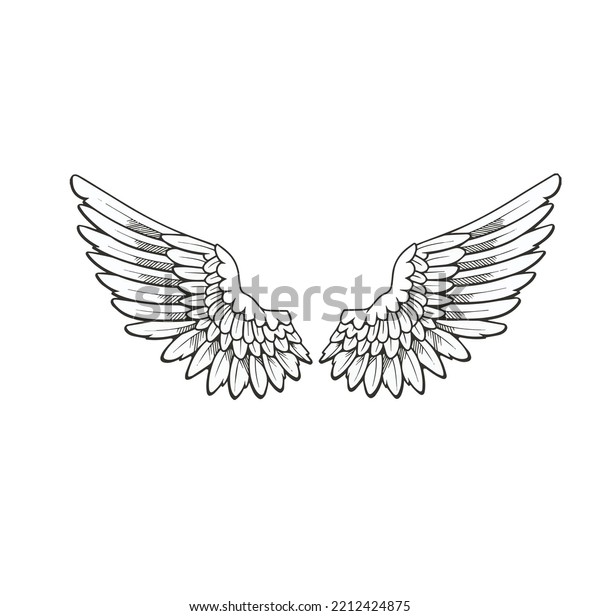 Hand Drawn Angle Wings Wings Drawing Stock Vector (Royalty Free ...