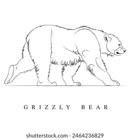 Hand drawn animal art, Vector illustration of Grizzly, A line art of wild animal