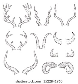 Hand drawn animal horn set - black and white sketch style collection of deer, cow, buffalo, reindeer, moose and other antlers. Isolated vector illustration.