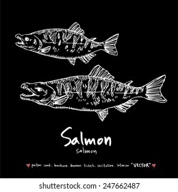 Hand drawn animal illustration / fish - vector