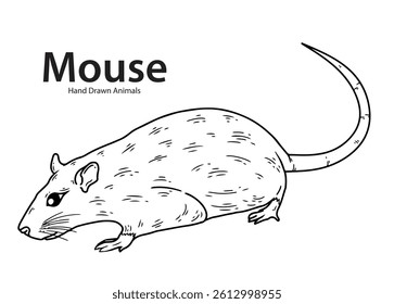 Hand drawn animal mouse vector shape, black and white, sketch, easy to edit, coloring page