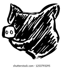 Hand Drawn Animal Pig Zodiac Year Transportation for Graphic Design, Shirt, Background, Logo, Icon and Template. Vector Illustration EPS10