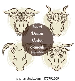 Hand drawn animal portraits. Vector elements set for your design.