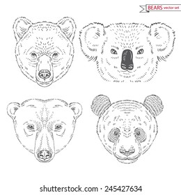 hand drawn animal set of bears heads