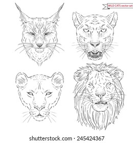 hand drawn animal set of big cats