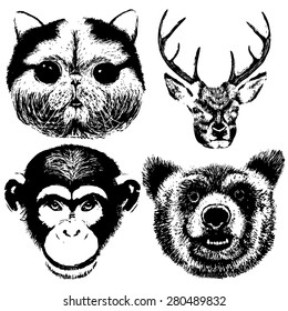 hand drawn animal set of cat, dear, bear and monkey. 