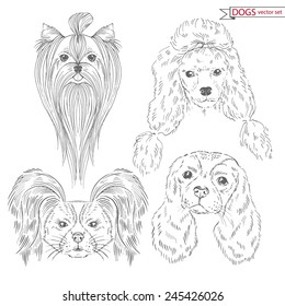 hand drawn animal set of dogs